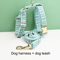 Harness leash