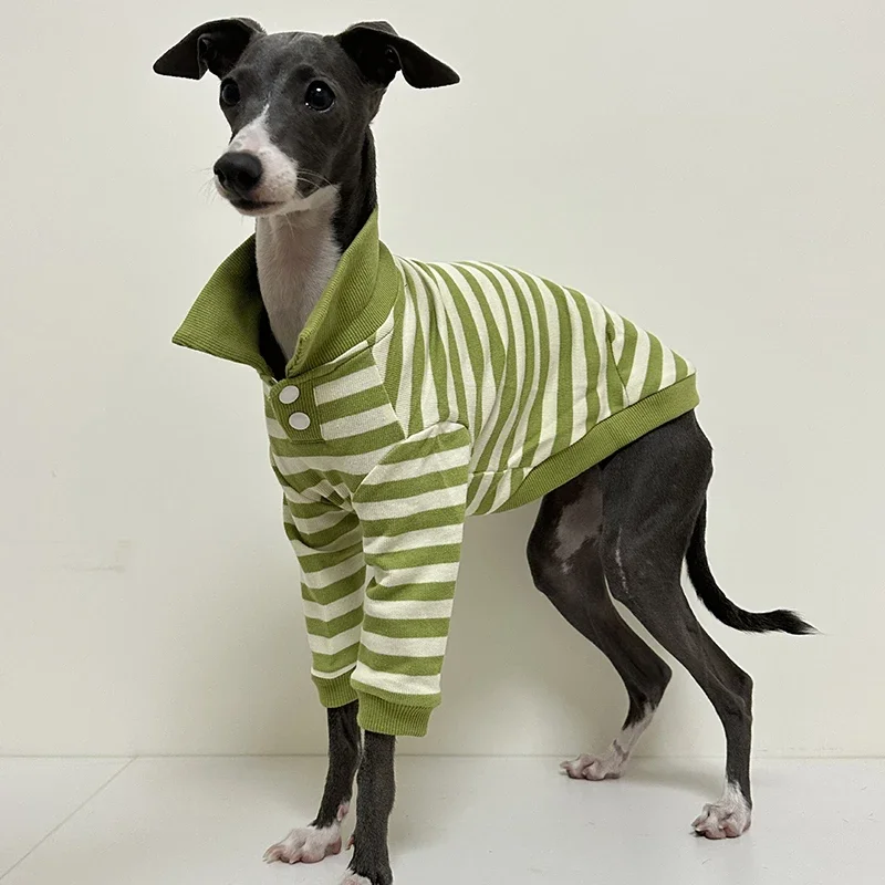 Camisa POLO para perros a rayas verdes, ropa de algodón, camisas POLO para perros de diseñador de lujo, cachorro pequeño, mediano y grande, perro de invierno de Año Nuevo - imagen 2