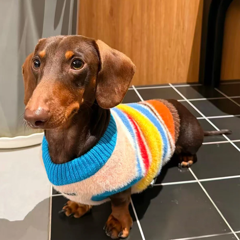 Suéter para perros Dachshund con rayas arcoíris - abrigo de invierno - imagen 2
