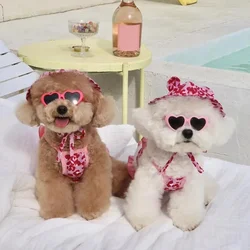Bikini y gorro de baño para perros pequeños – Ideal Chihuahua Yorkshire
