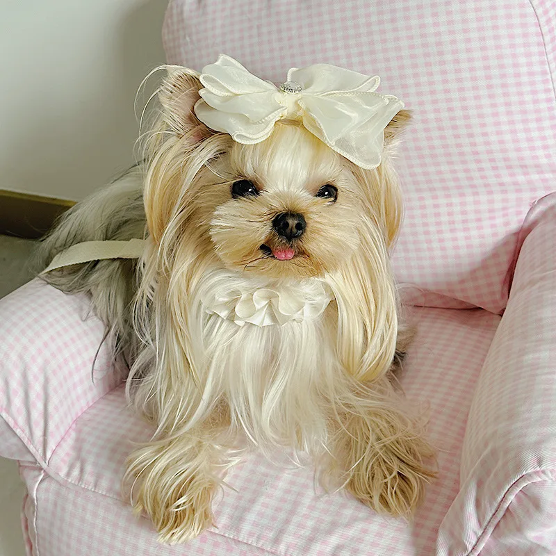 INS สัตว์เลี้ยงเชือกลากปลอกคอสุนัขโบว์สายรัดหน้าอก Yorkshire Marquis Traction สุนัข Harnesses อุปกรณ์แมวปลอกคอสุนัข Leash