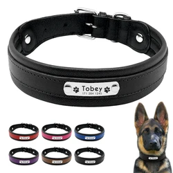 Collar acolchado de cuero para perros grandes y medianos – Resistente y regulable
