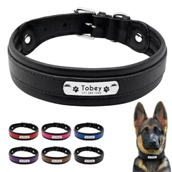 Collar de cuero acolchado para perros grandes y medianos – Durable y personalizable