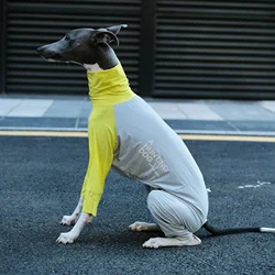 Traje ligero antis insects para Whippet y Galgo Italiano – Transpirable y secs rápida