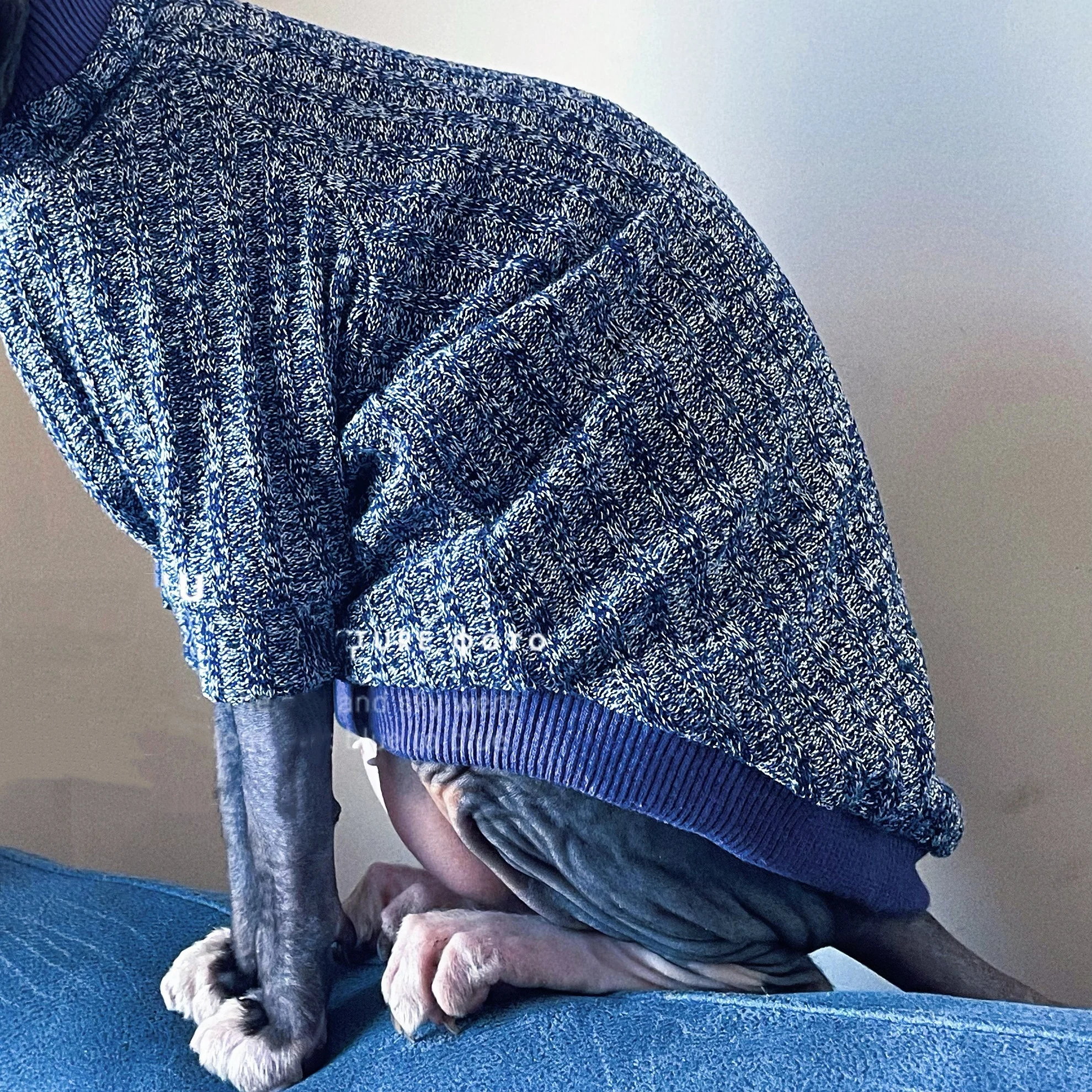 Suéter de cuello alto para gato sin pelo en invierno, ropa cálida de manga larga tejida a mano para gato Sphynx, abrigo azul de otoño para gatitos - imagen 3