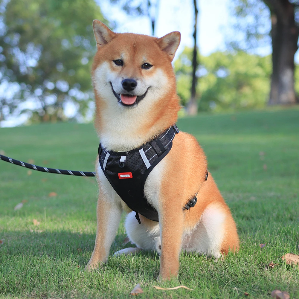 Arnés sin tirones para perros, chaleco reflectante para mascotas, Material Oxford transpirable con mango de fácil Control - imagen 2