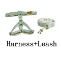 harness leash