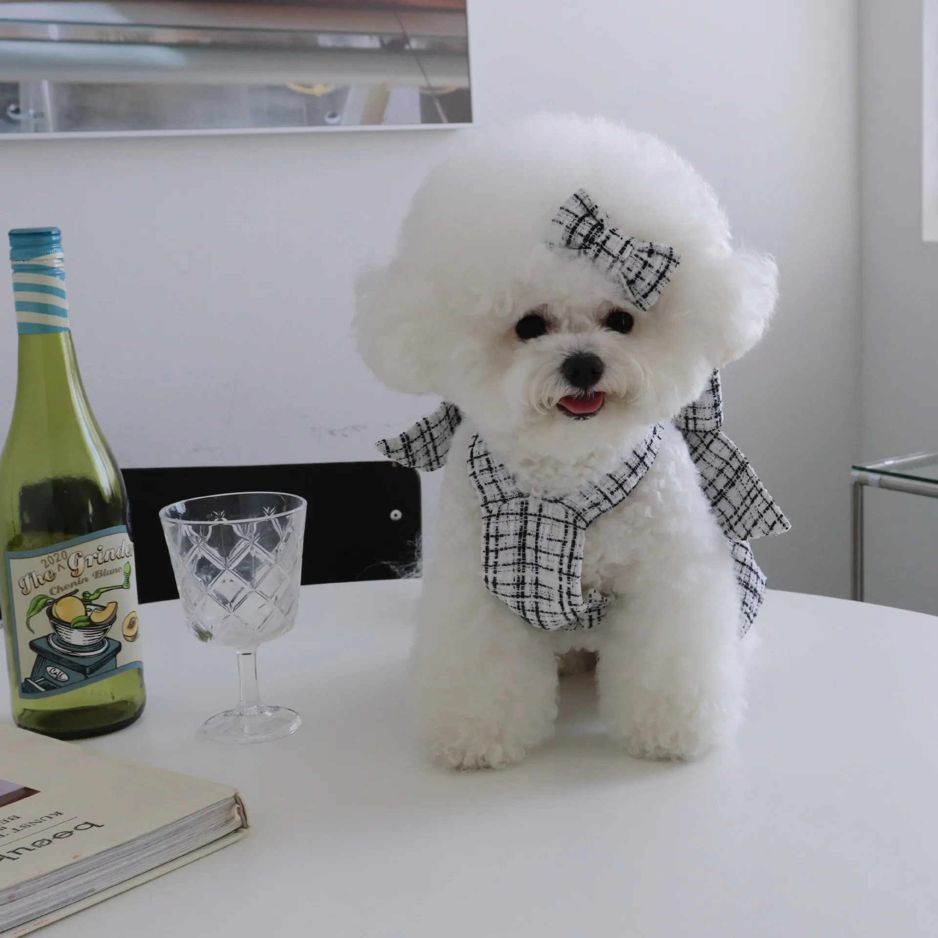 INS-vestido de invierno para perro, traje de fiesta con lazo trenzado grueso y Halter, color blanco y negro, pinzas para el pelo - imagen 2