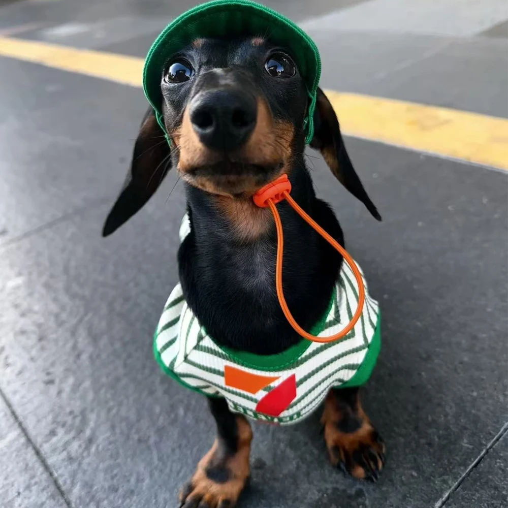 Ropa de moda para perros Dachshund con gorro – primavera/verano - imagen 2