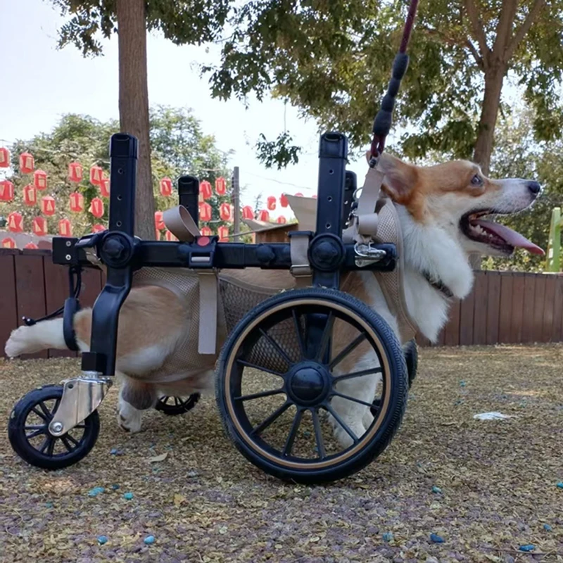 Silla de ruedas para perro de rehabilitación patas traseras ajustable - imagen 2