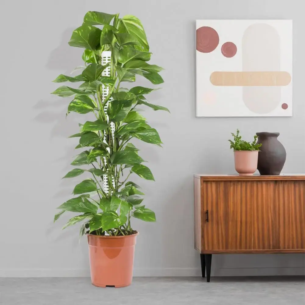 Buen marco de soporte para plantas, fácil de usar, instalación Simple, poste de musgo de larga duración, plantas en macetas, palo de soporte para escalada - imagen 4