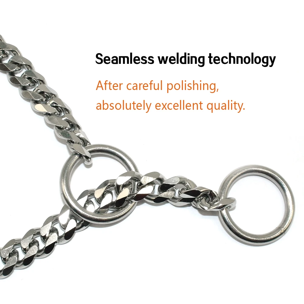 Collar de cadena para perros PET ARTIST dispuesto en círculo