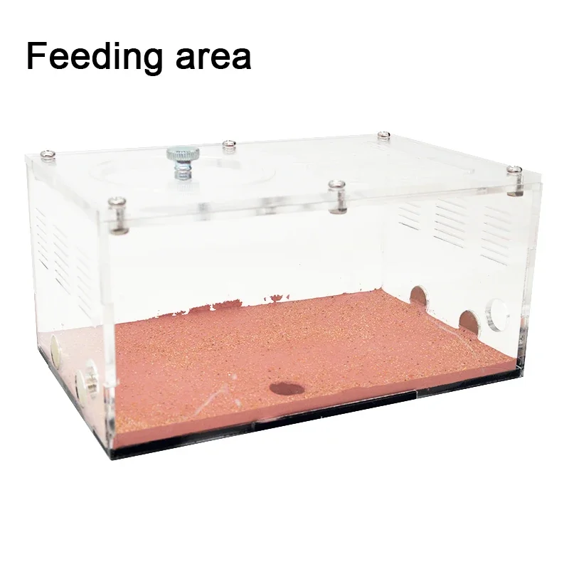 Feeding area