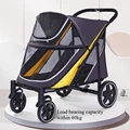 Gray-yellow mesh