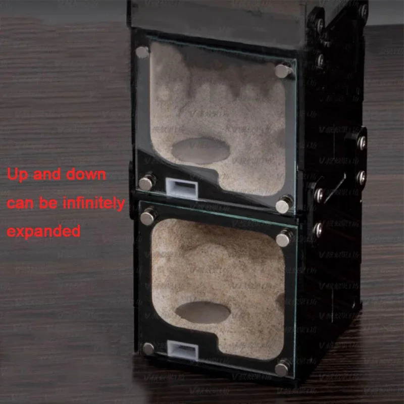 Nido de hormigas de expansión infinita Vertical para granja de hormigas de hormigón con torre de agua, casa de hormigas, taller de insectos, olla de miel, perrera de hormigas - imagen 4