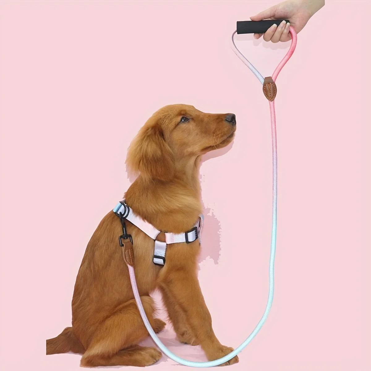 Correa para perros con mango de espuma y cuero cosido resistente - imagen 3