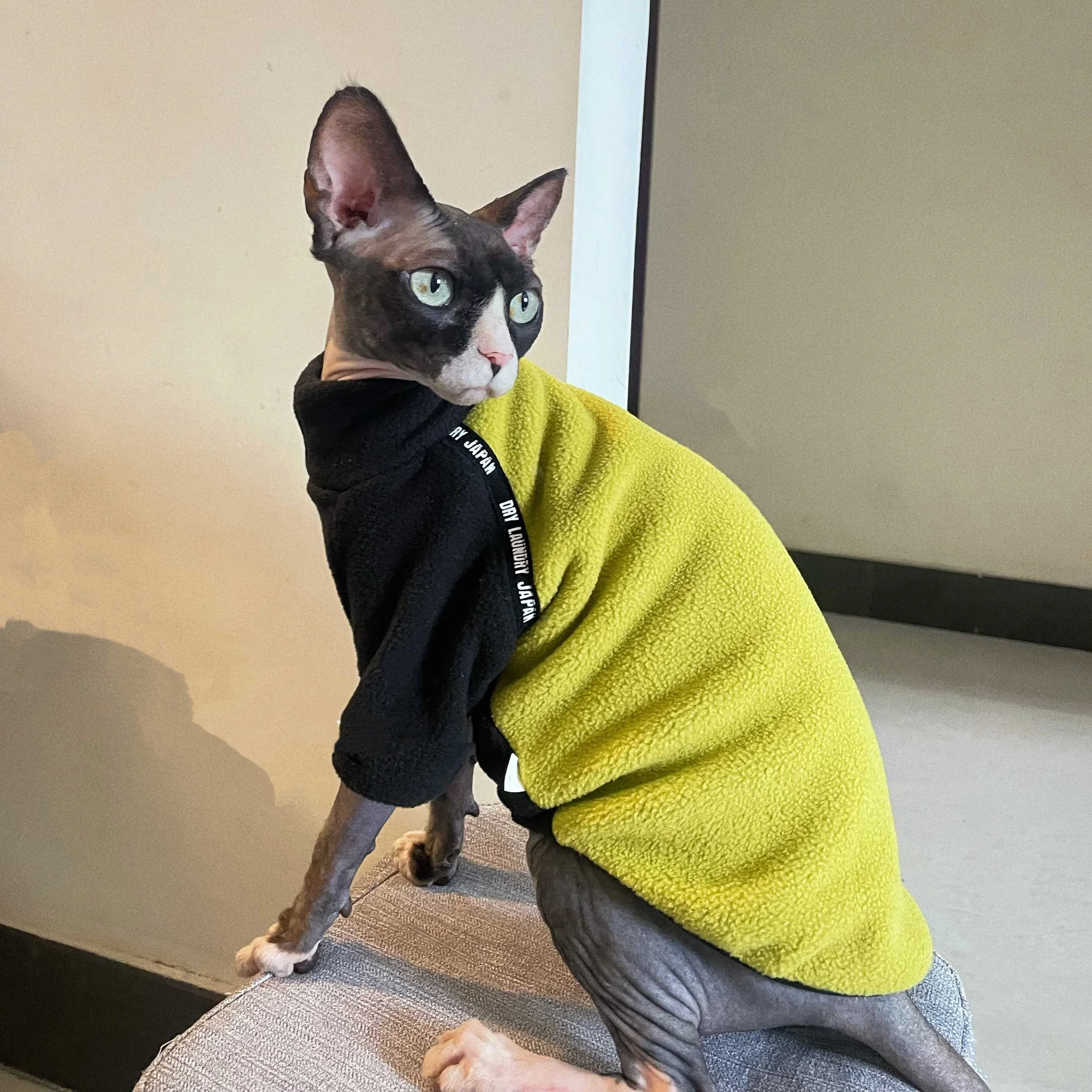 Abrigo de lana cálido ligero para gatos Sphynx y Devon Rex - imagen 5