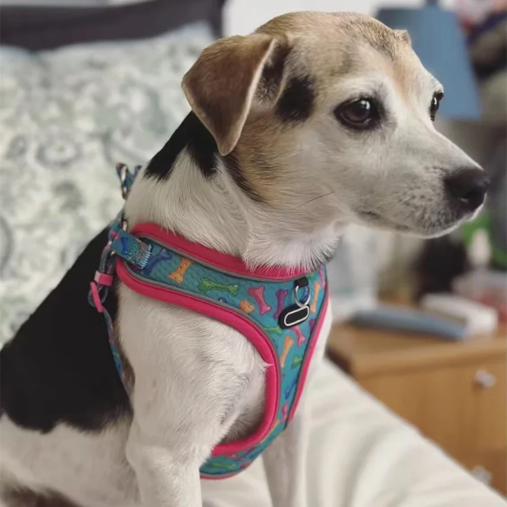 Chaleco reflectante para perros pequeños, arnés de malla transpirable, correas para el pecho para mascotas, cachorro Corgi Shiba Inu, suministros para caminar al aire libre - imagen 4