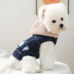 Chaqueta vaquera azul con sombrero lana para perros pequeños Yorkie