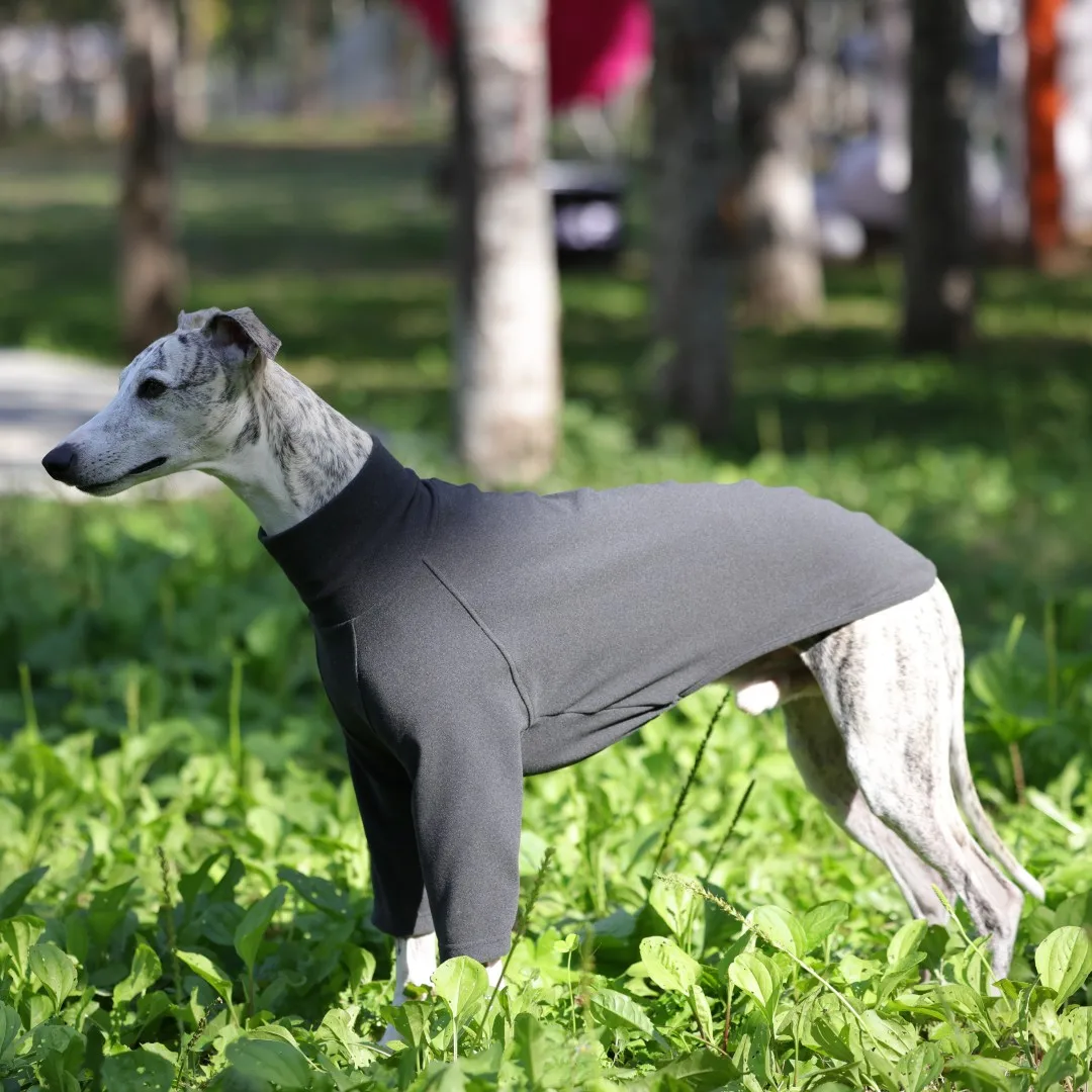 Camiseta rosa suave para perros, sudadera morada para galgo italiano, Top caqui de manga larga para pijama de invierno Whippet para Whippet - imagen 5