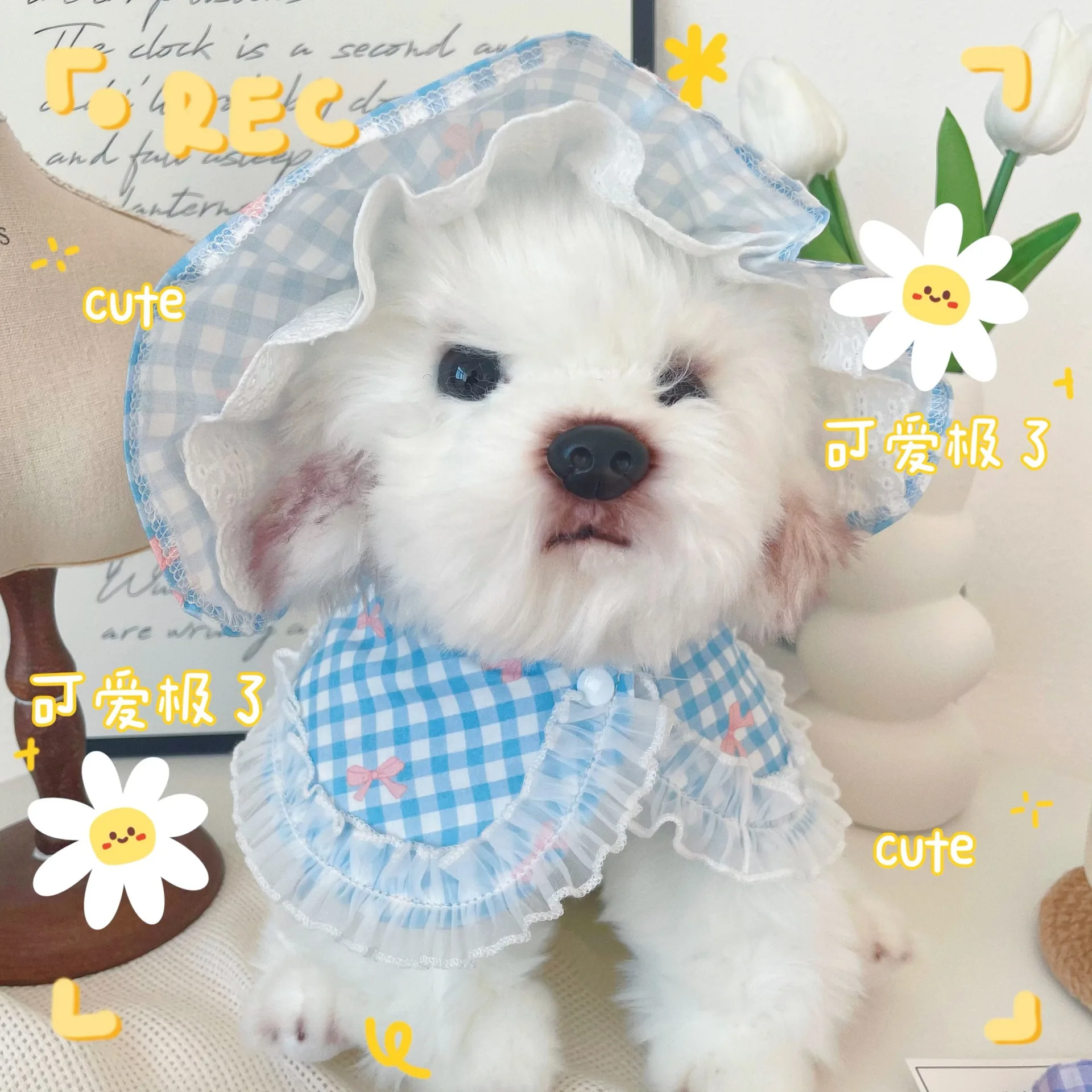 Lindo conjunto de sombrero y Collar para mascotas, sombrero a cuadros para perro/gato con Collar de encaje, adorables accesorios para sombreros de cachorro y gatito para fotos