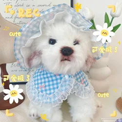 Conjunto sombrero a cuadros y collar de encaje para gatos, perros