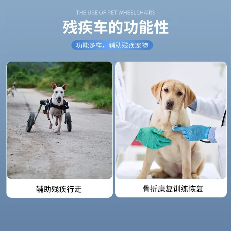 Silla de ruedas para perros pequeños y medianos – Rehabilitación - imagen 4
