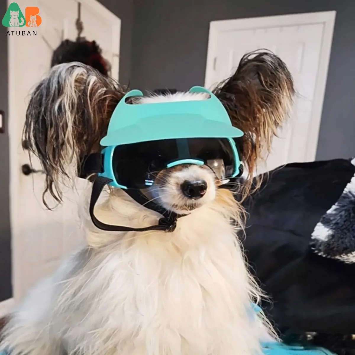 ATUBAN Equipo solar para perros, gafas y casco ajustables, protege de la nieve y el sol, perfecto para propietarios activos de mascotas, orificios ajustables - imagen 4