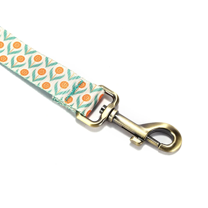 PLATTCO, venta al por mayor de fábrica, correa de planta de huevo escalfado impresa de poliéster, Collar para mascotas, correa para perro PDL347 - imagen 2