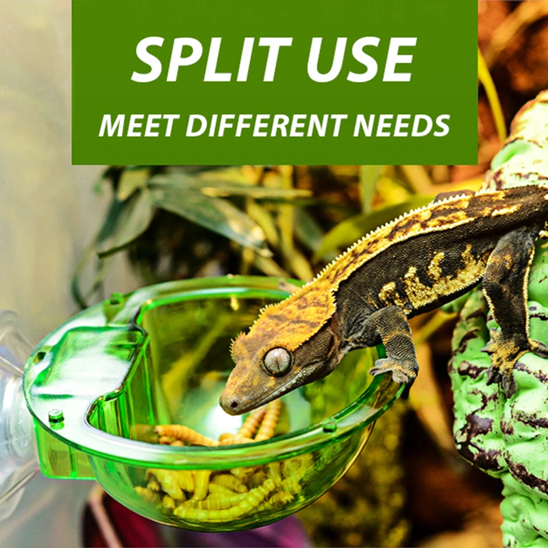 Arboreal-comedero con ventosa antiescape para reptiles vivos, camaleón, lavabo de pared, cuencos de plástico de doble capa para animales pequeños D9210 - imagen 5