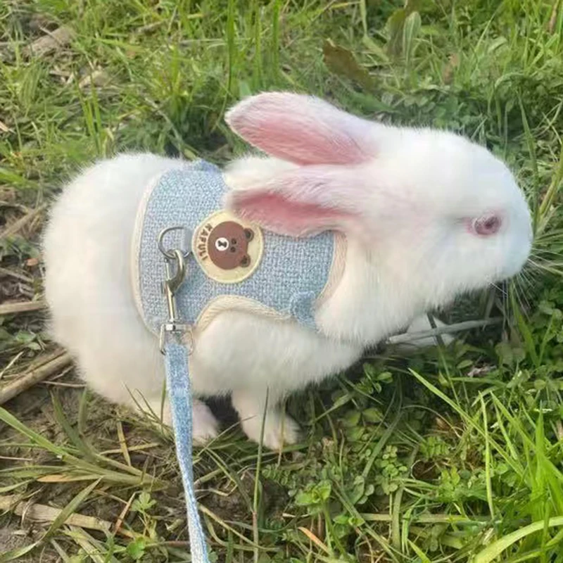 El más nuevo lindo conjunto de arnés y correa de conejo, accesorios para mascotas, chaleco, arneses, correas de conejo para caminar al aire libre, suministros para mascotas - imagen 5