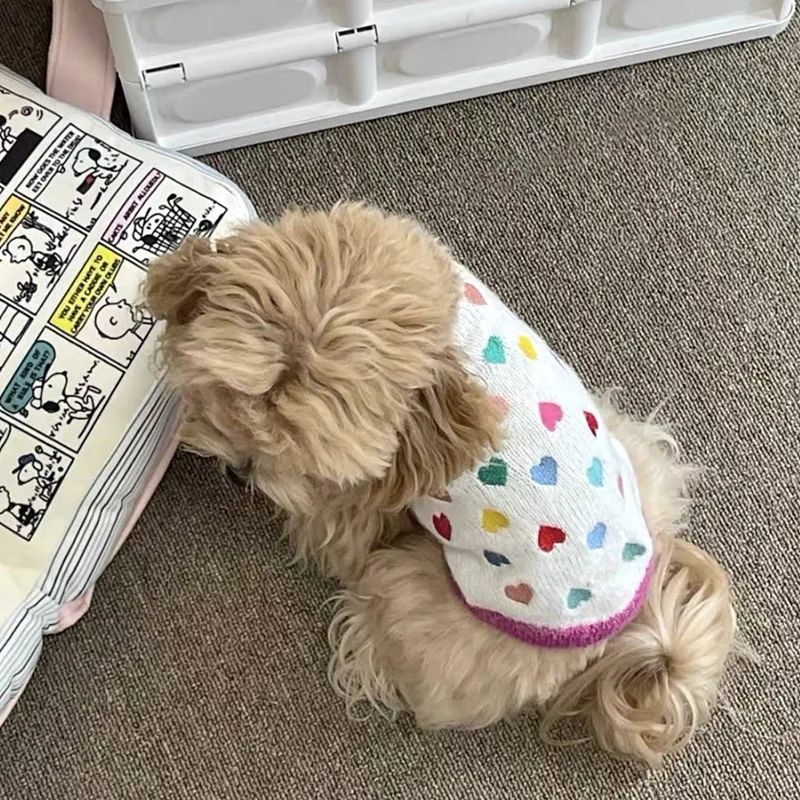 Suéter de punto para otoño/invierno para mascotas, chaleco bordado de amor colorido, ropa para mascotas, abrigo de invierno, ropa para cachorros - imagen 4