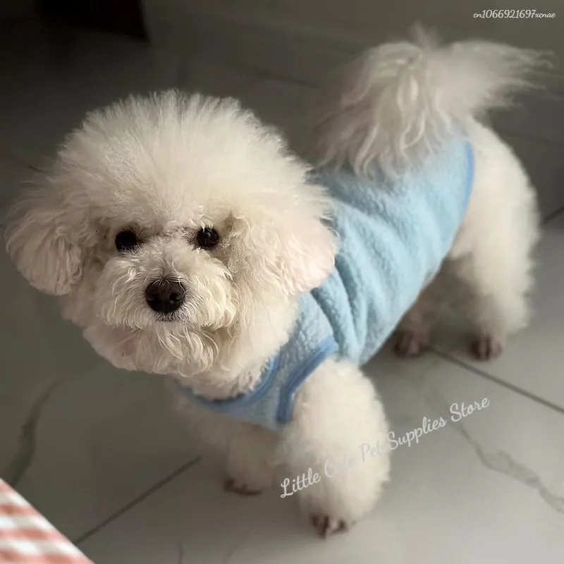 Chaleco para perro más chaleco grueso y cálido de terciopelo para mascotas, ropa para perros, oso de peluche para gatos, ropa para cachorros pequeños, ropa de dos piernas para gatos, ropa de descanso cálida