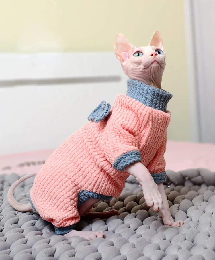Suéter de cuello alto de gato Sphynx, ropa de gatito sin pelo, abrigo cómodo Devon Dex, Pullove de algodón grueso para traje de invierno de gato Sphynix - imagen 2
