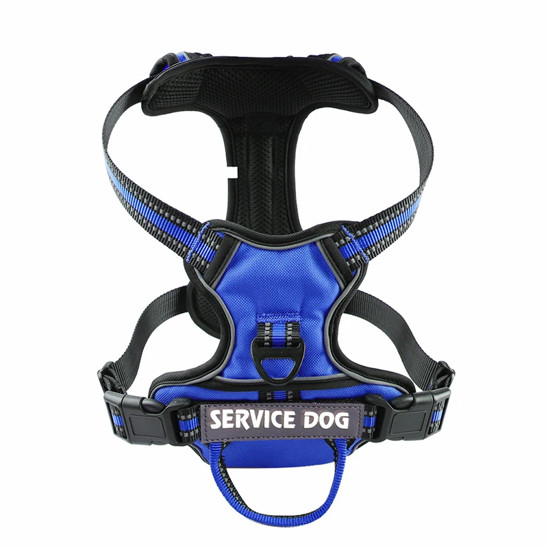 Blue Harness