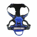 Blue Harness