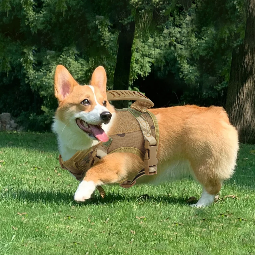 Chaleco táctico con arnés para perros, adecuado para perros pequeños, chaleco para perros sin extracción, arnés ajustable para caminar y hacer senderismo - imagen 2