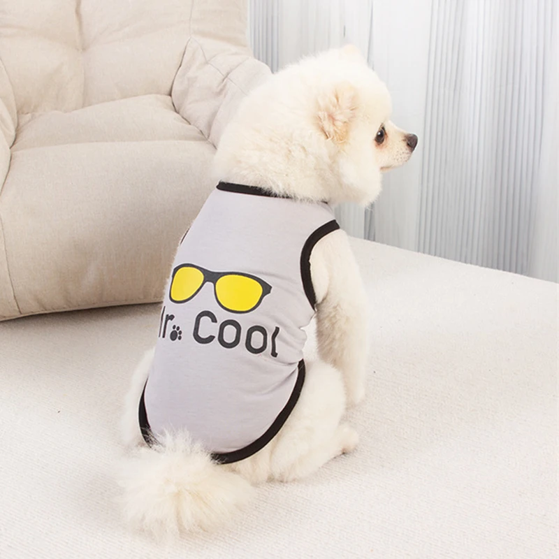 Chaleco de algodón para cachorros y perros, camisa con estampado de letras, ropa para mascotas para perros pequeños, Chihuahua Pinscher, camisas de Yorkshire, ropa para mascotas - imagen 3