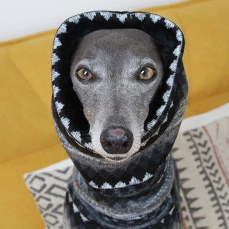 Chaleco Whippet de cuello alto de lana de invierno, ropa de estilo bohemio de galgo italiano, abrigo para perro, ropa de cama elástica suave - imagen 2