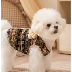 Abrigo a rayas de otoño e invierno para mascotas, abrigo de felpa con oso de peluche para perros, abrigos de felpa gruesos para otoño e invierno, ropa para cachorros