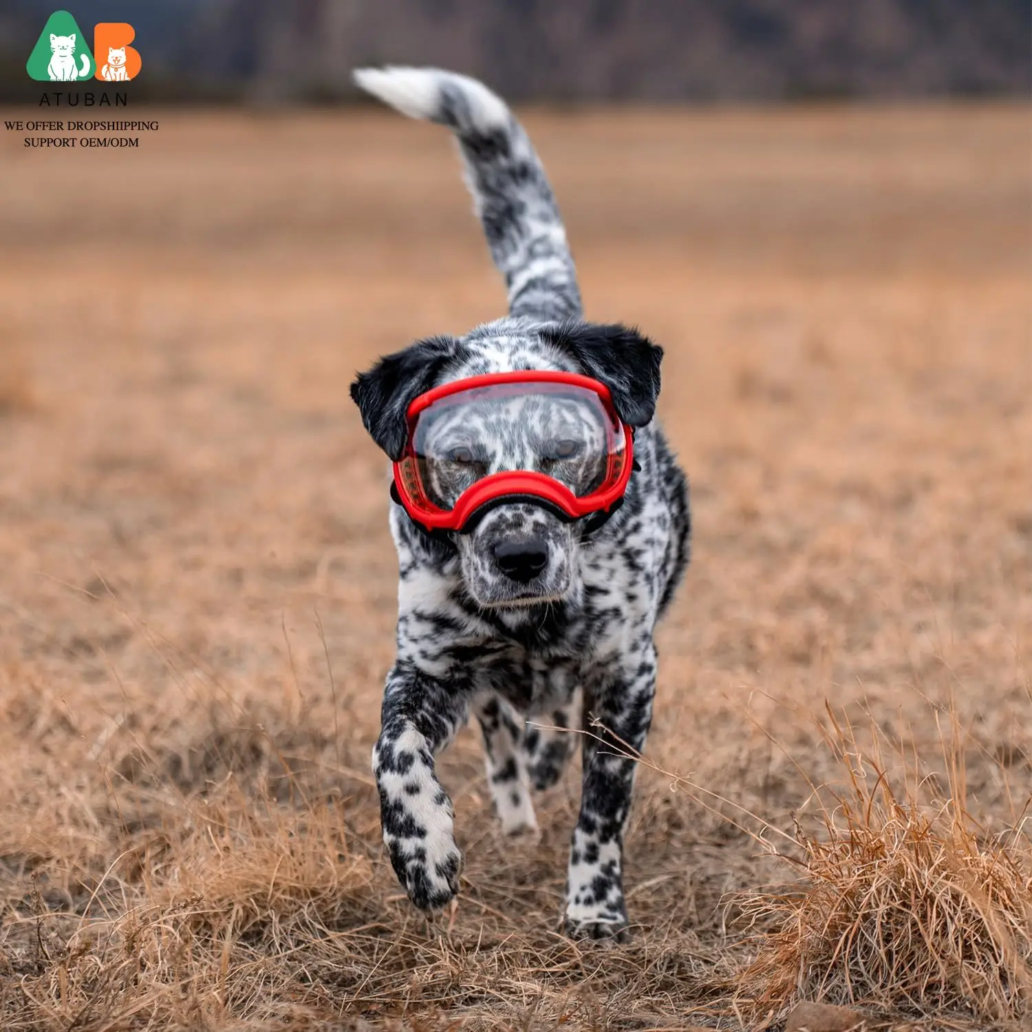 Ajuste perfecto en diferentes razas grandes