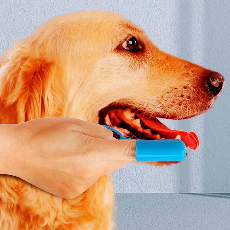 Juego de cepillos de dientes para perros, cepillos de dientes suaves para limpieza de dientes de perros, cuidado bucal, limpieza de boca, 3 uds., cepillo de dientes para gatos, suministros para el cuidado de mascotas - imagen 4