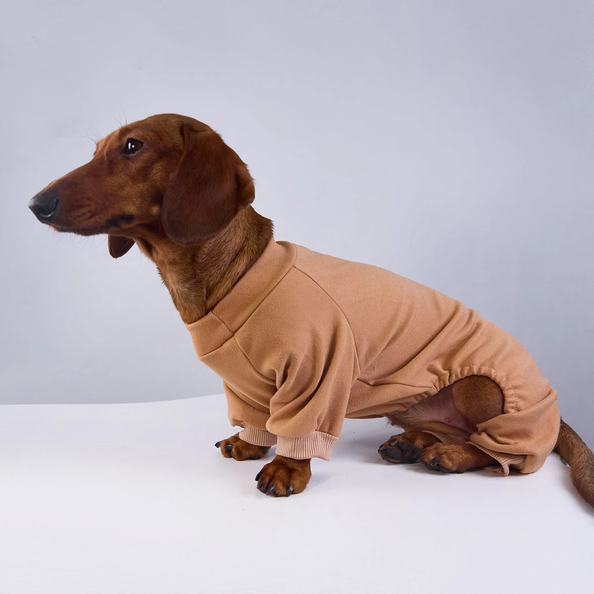 Mono forro polar para perros Salchicha – Cálido y ajustado - imagen 5