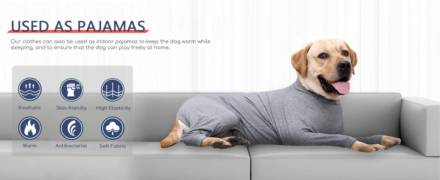 Dog recovery suit 