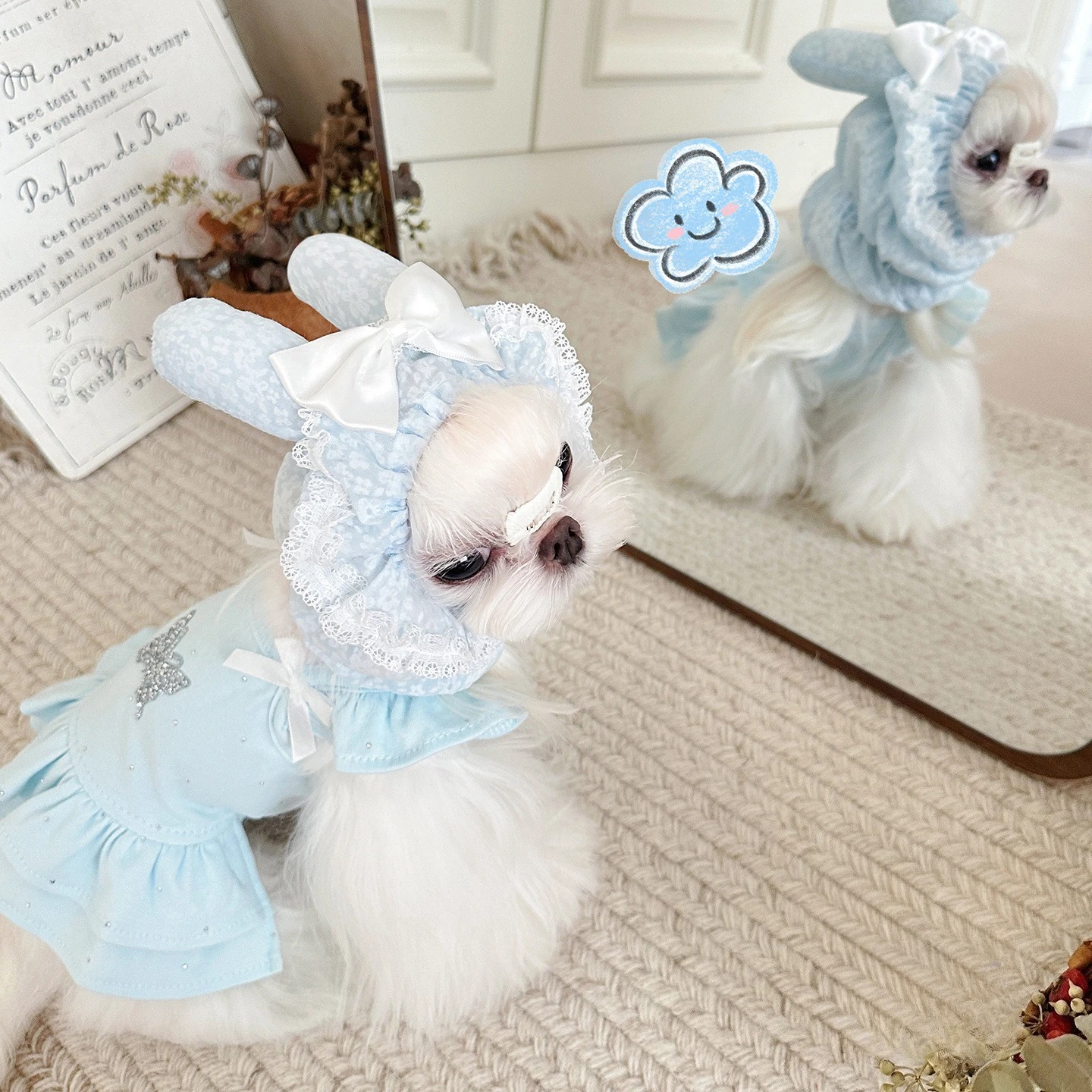 Orejeras con lazo estilo teddy para perros Yorkshire y gatos de pelo largo - imagen 4