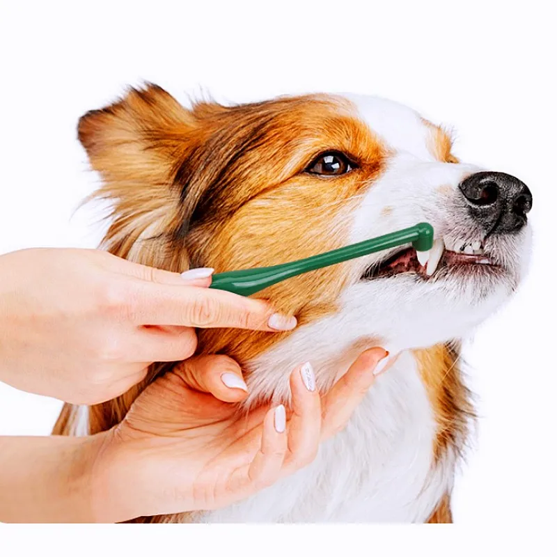 Cepillo de dientes para perros, limpieza de dientes de perro, cepillo de dientes de cabeza pequeña para limpieza de boca de mascotas, pelo suave, Mini cepillos de dientes para perros, suministros para mascotas - imagen 2