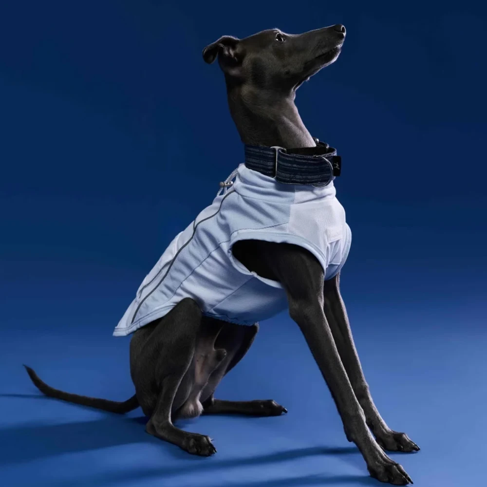 Chaleco refrescante para perros galgo italiano y whippet con capucha - imagen 2