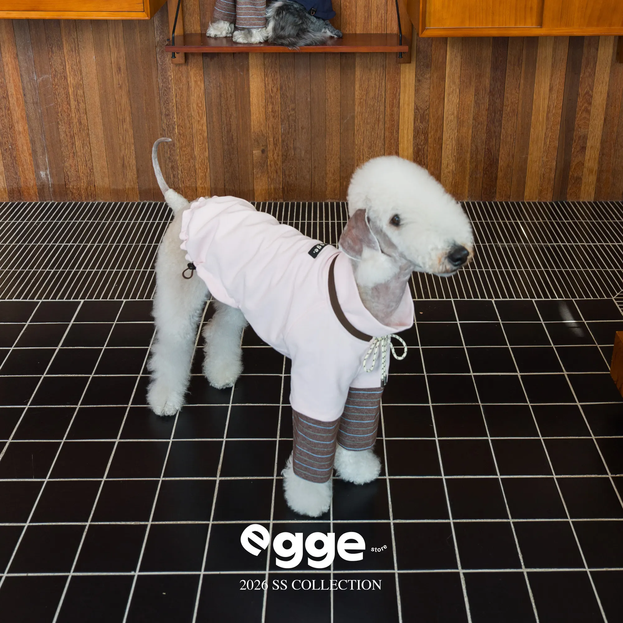 Sudadera con capucha para perros Galgo Italiano estilo universitario - imagen 3