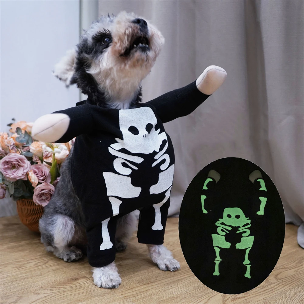 Conjunto de transformación divertido de calavera luminosa para gatos y perros, ropa de actuación para fiesta de disfraces de cachorros, disfraz de Halloween para mascotas - imagen 2