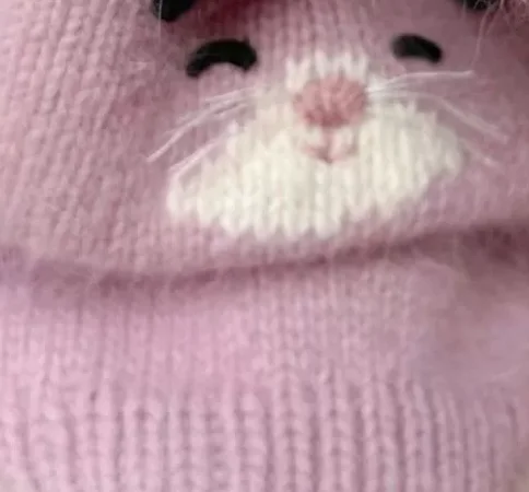Suéter cálido para perro Yorkshire y Schnauzer – Otoño e invierno - imagen 5
